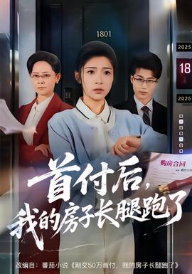 首付后，我的房子长腿跑了(全集)