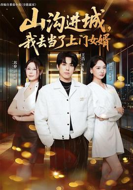 山沟进城，我去当了上门女婿(全集)
